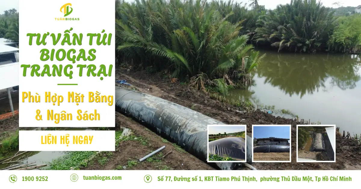 Tư Vấn Lựa Chọn Túi Biogas Trang Trại: Phù Hợp Mọi Mặt Bằng, Tối Ưu Chi Phí